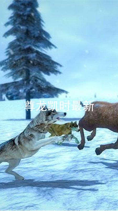 尊龙凯时最新