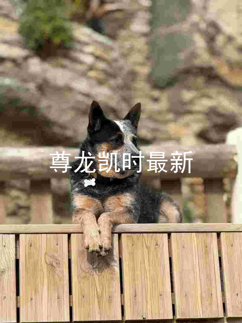 尊龙凯时最新