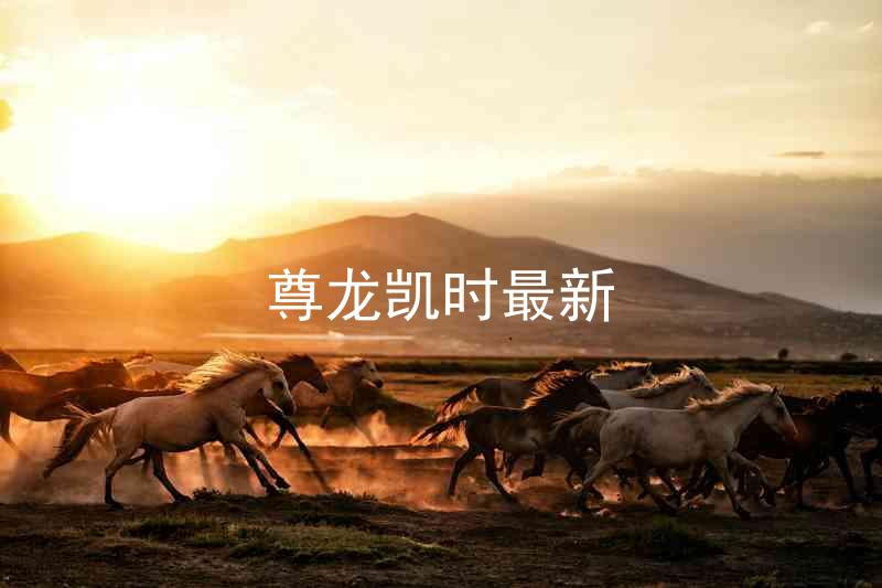 尊龙凯时最新