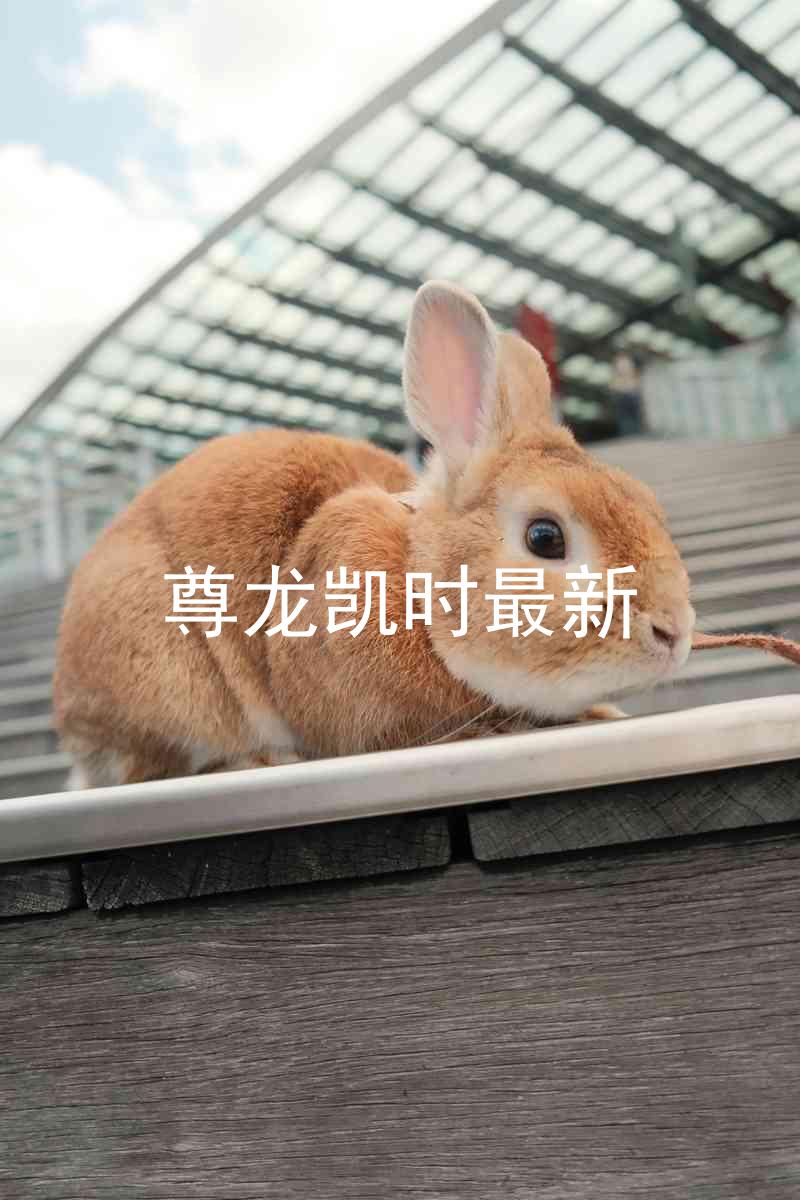 尊龙凯时最新